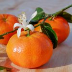 Kinder im Sommer 2020