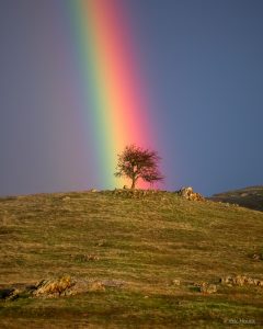 Regenbogenbrücke